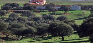 Llanos de Cáceres