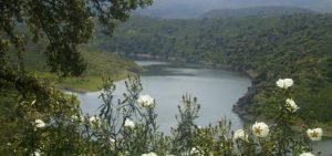 Parque Nacional de Monfragüe
