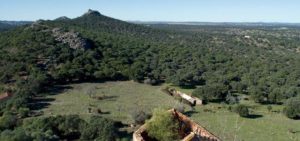 Sierra San Pedro