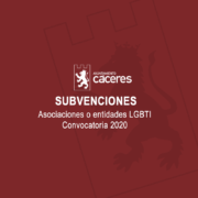 SUBVENCIONES ASOCIACIONES O ENTIDADES LGBTI, CONVOCATORIA 2020