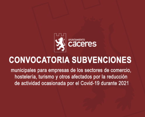 Subvenciones Covid 19 - 2021