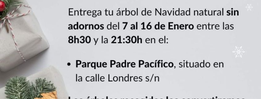 El Ayuntamiento pone en marcha una campaña para evitar que los árboles de  Navidad acaben en el vertedero - Ayuntamiento de Cáceres