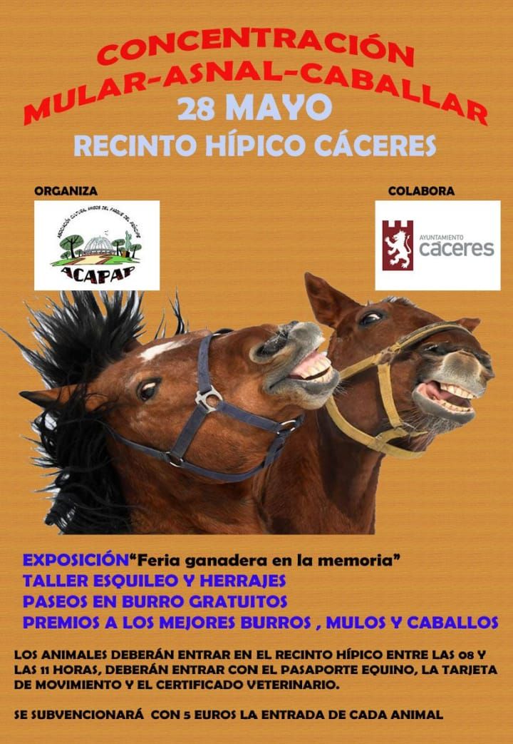 Feria del Ganado