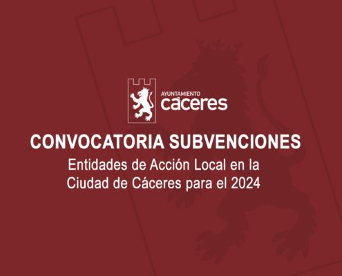 SUBVENCIONES PARA ENTIDADES DE ACCIÓN SOCIAL 2024