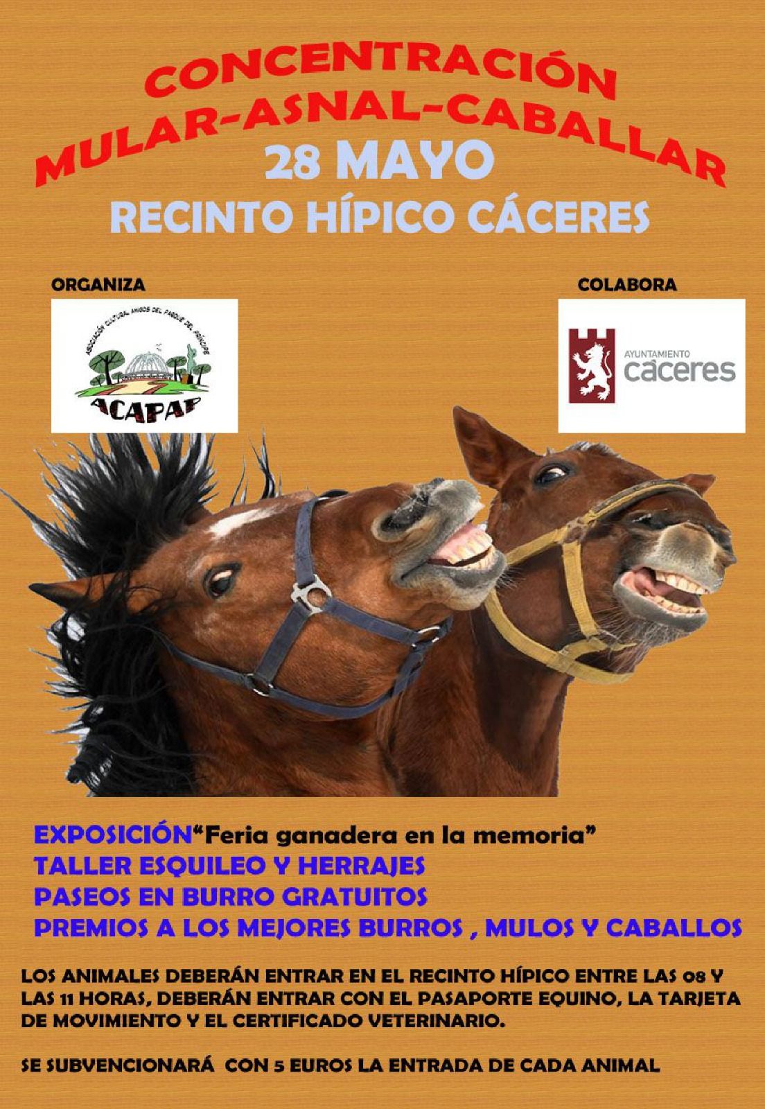 concentración mular asnal caballar