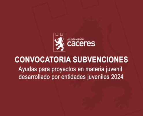 Ayudas para proyectos en materia juvenil desarrollado por entidades juveniles 2024