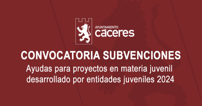 Ayudas para proyectos en materia juvenil desarrollado por entidades juveniles 2024