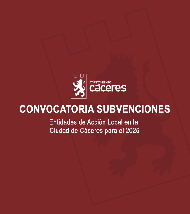 Subvenciones para Entidades 2025